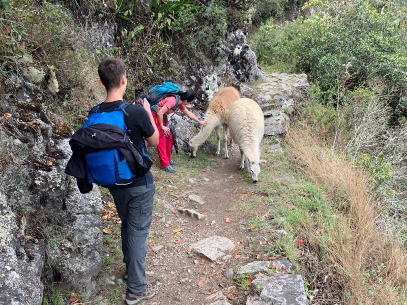 classic inca trail to machu picchu 4 days nad 3 night